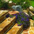 HOMEFIELD Land Products