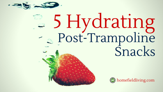 5 Hydrating Post Springfree Trampoline Snacks