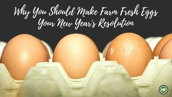 Why You Should Make Farm Fresh Eggs Your New Year's Resolution